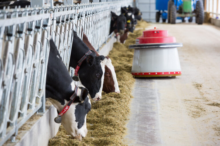 FARM590FEEDINGX1046